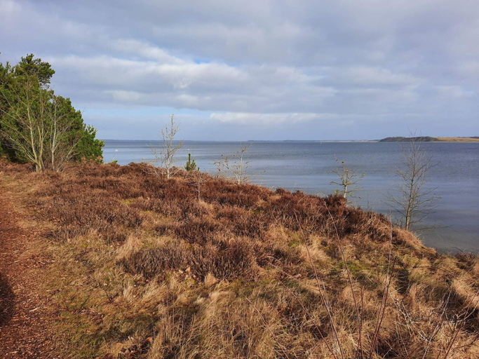 Others 5, 6 Person Holiday Home in Hojslev, Skive