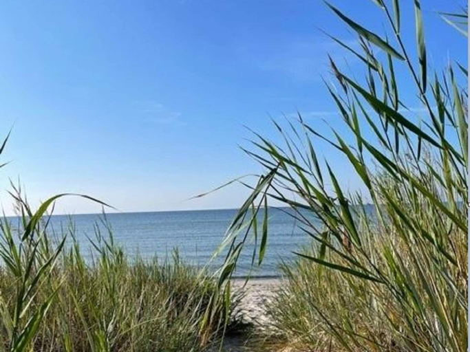 Beach 3, 4 Star Holiday Home in Lottorp, Borgholm