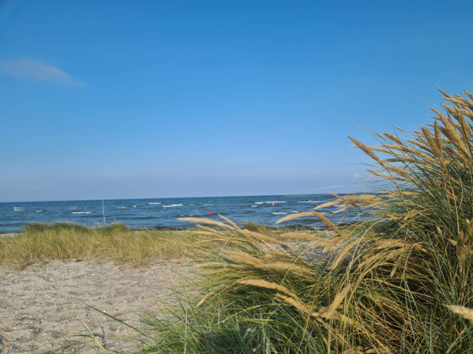Others 5, 12 Person Holiday Home in Bredebro, Tønder