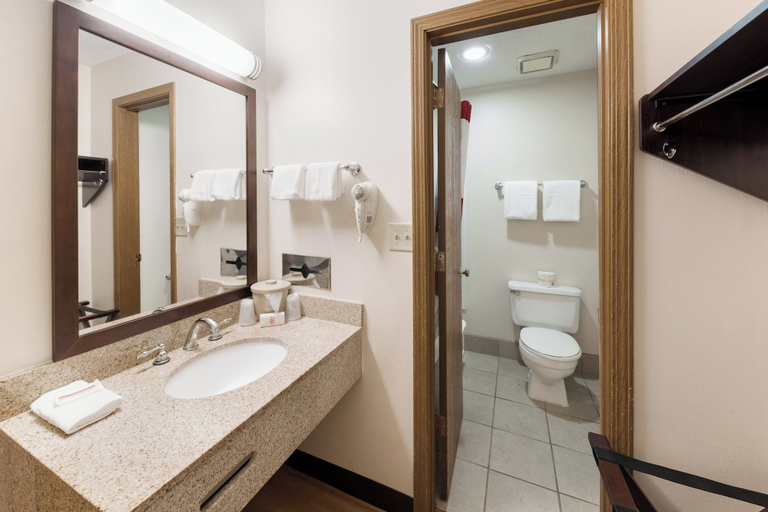 Bathroom 4, Red Roof Inn Fort Wayne, Allen
