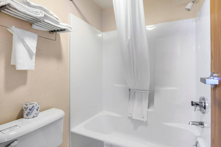 Bathroom 4, Econo Lodge Inn & Suites Oconto, Oconto