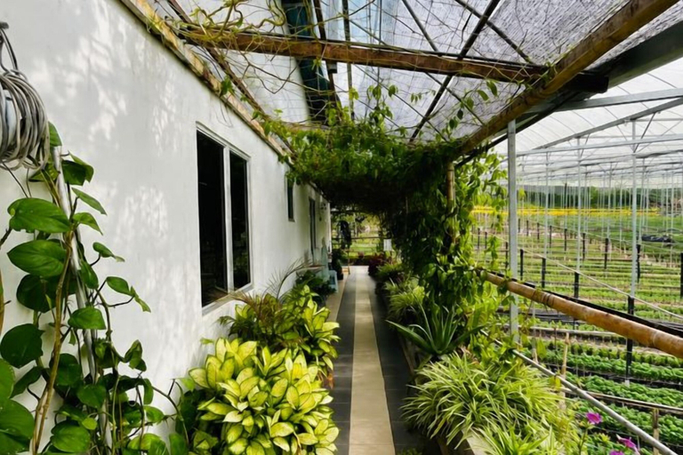 Others 4, Cameron Farm House, Cameron Highlands
