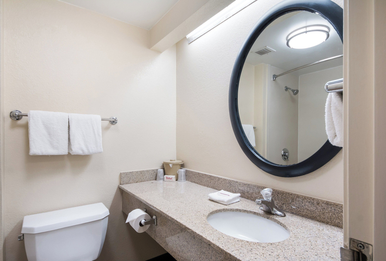 Bathroom 4, Red Roof Inn Laredo, Webb