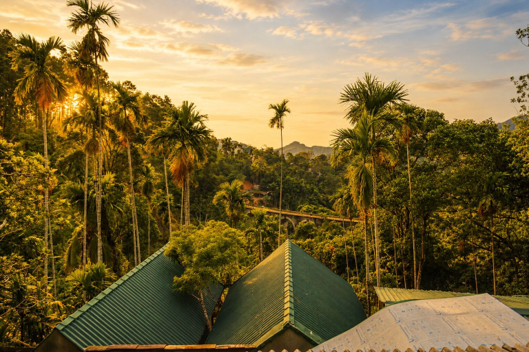 Exterior & Views 2, Nine Arch Jungle Inn, Ella