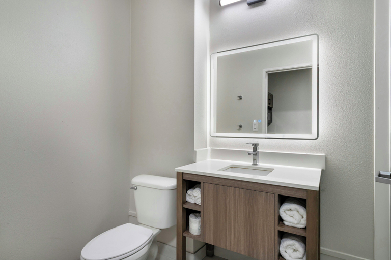Bathroom 4, Red Roof Inn & Suites Beaumont, Jefferson