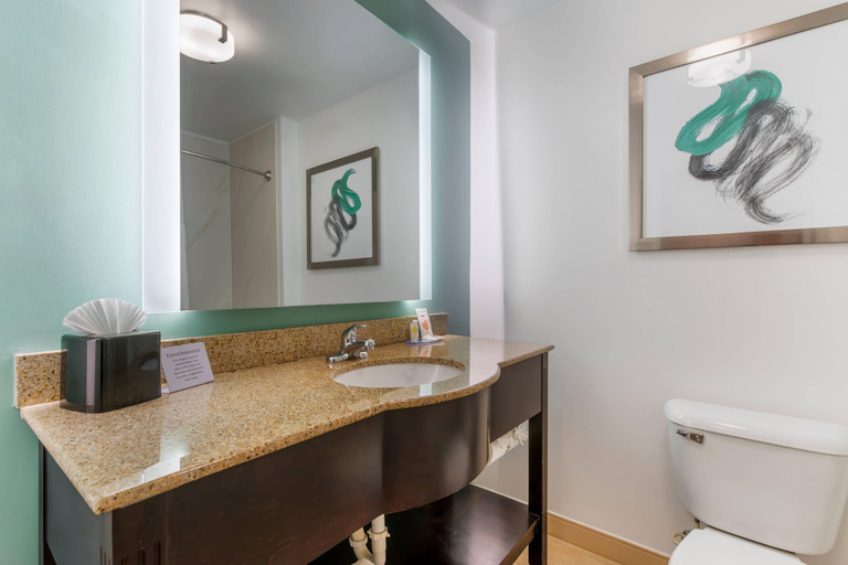 Bathroom 4, Comfort Inn & Suites, Charlotte