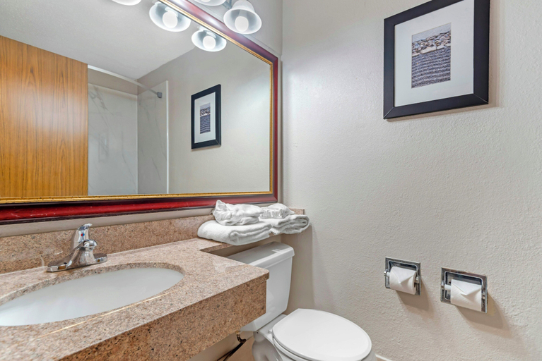 Bathroom 4, Red Roof Inn Gastonia, Gaston