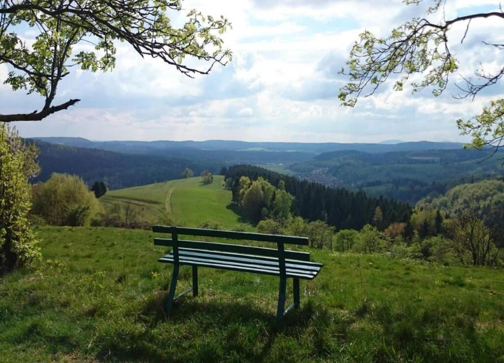 View from property 5, Lakefront Family Retreat, Harz