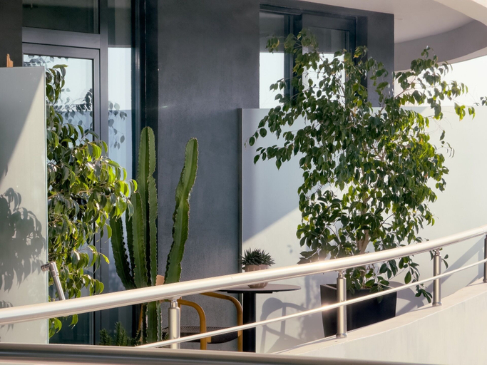 Property grounds 5, Zins Luxury Rooms, Durrësit
