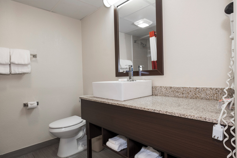 Bathroom 4, Red Roof Inn PLUS+ Poughkeepsie, Dutchess