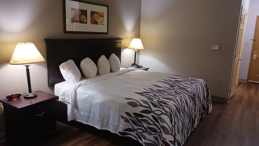 Bedroom 2, Red Roof Inn & Suites Midland, Midland