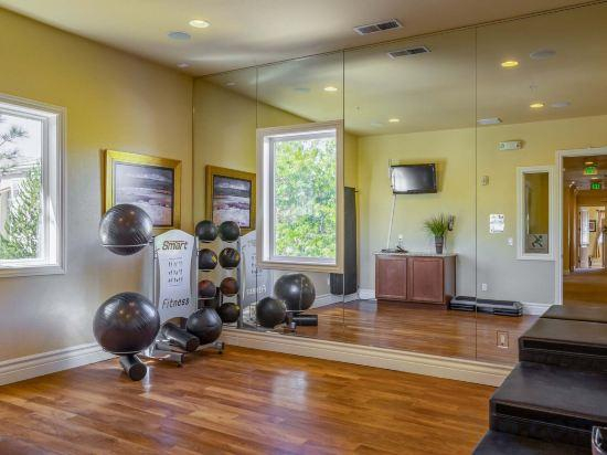 1, Modern 1BR Reno Retreat · Outdoor Season & Views, Washoe