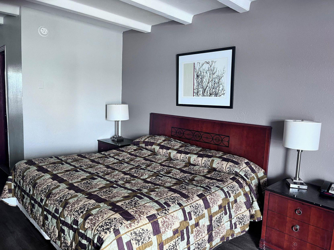 Bedroom 5, expressway inn, Davidson