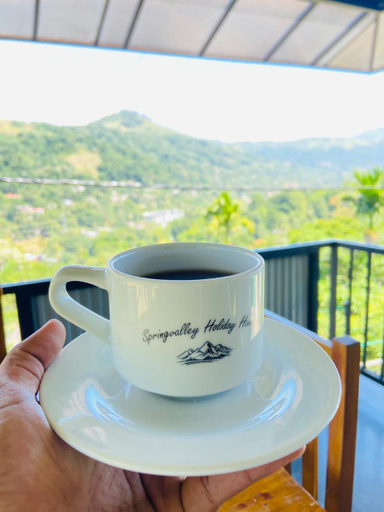 Food & Drinks, Springvalley holiday home, Hali-Ela
