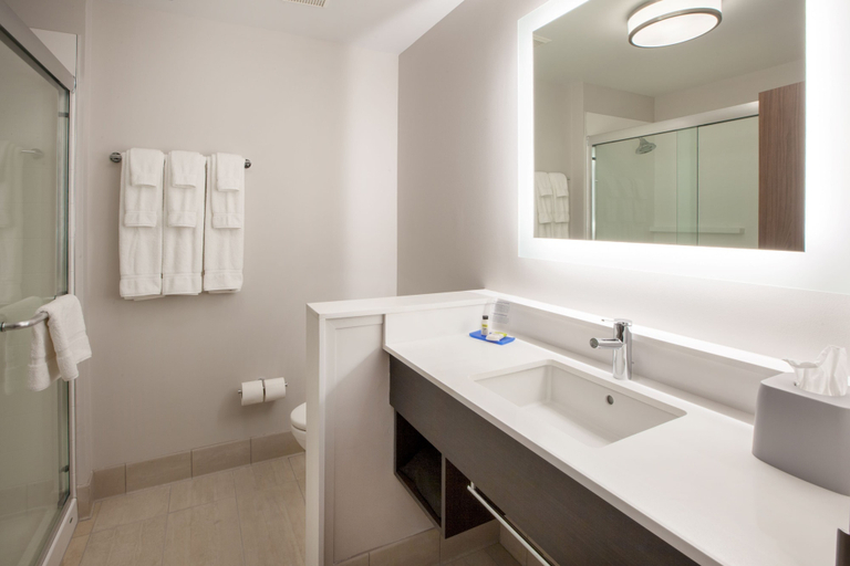 Bathroom 4, Holiday Inn Express & Suites BARDSTOWN by IHG, Nelson