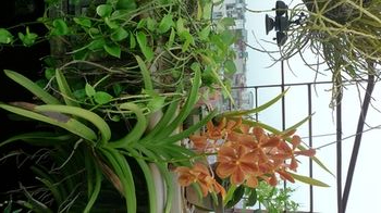 Childrens Area, Hotel Garden Queen, Hoàn Kiếm