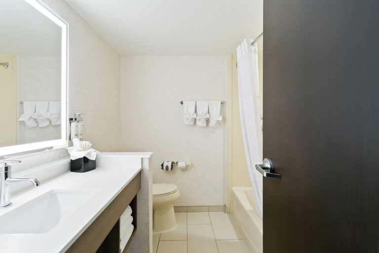 Bathroom 5, Holiday Inn Express & Suites BALTIMORE WEST - CATONSVILLE by IHG, Baltimore