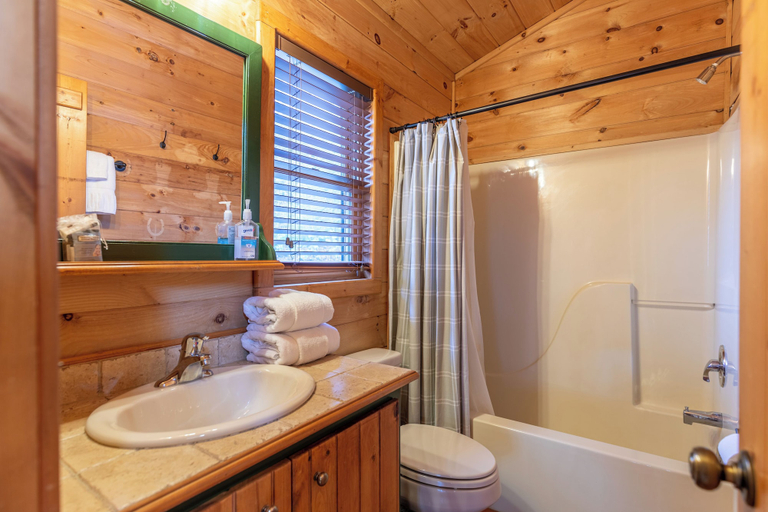 Bathroom 4, Lakeview, Watauga