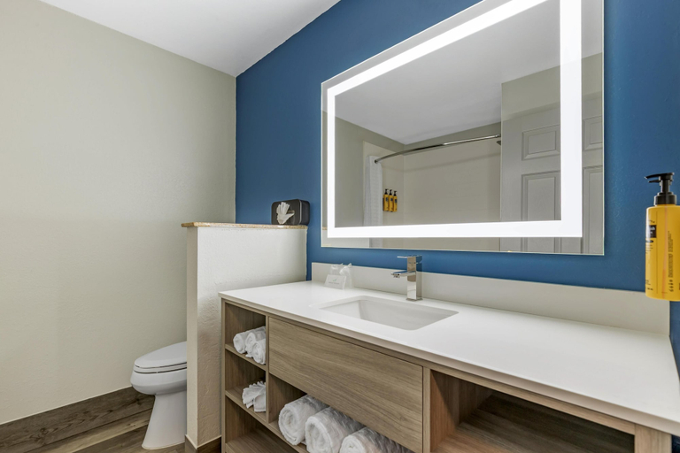 Bathroom 4, Best Western Plus Omaha Airport Inn, Pottawattamie