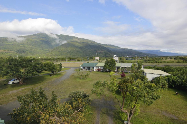 Others 4, Ruisui Village, Hualien