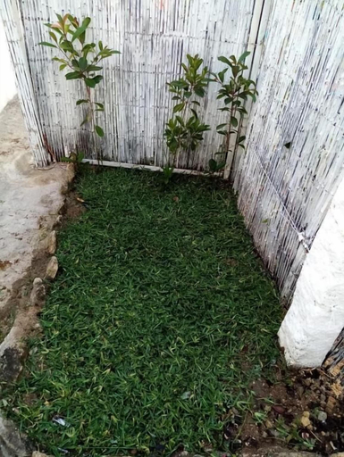 Others 5, Private House Only For You 145 - 8min historic Center, Vila Nova de Gaia