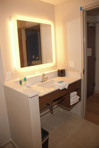 Bathroom 3, Holiday Inn Express & Suites DECATUR by IHG, Morgan
