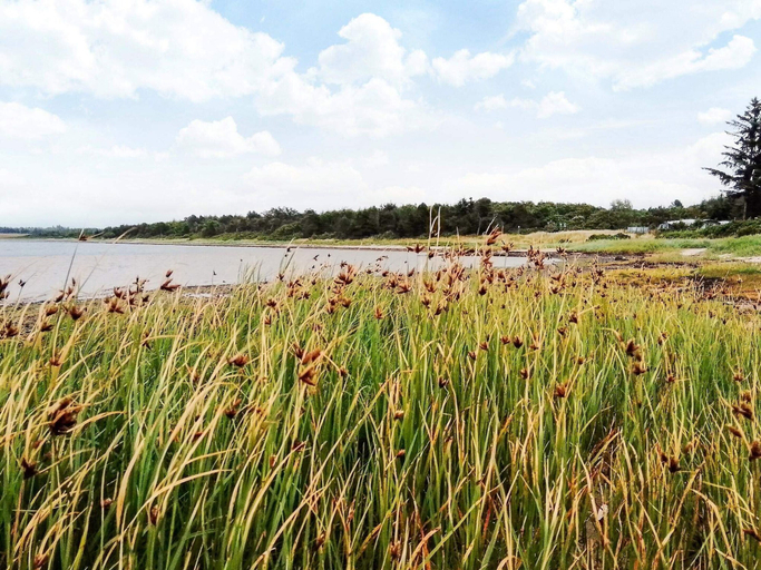 Water view 4, 6 Person Holiday Home in Farso, Vesthimmerland