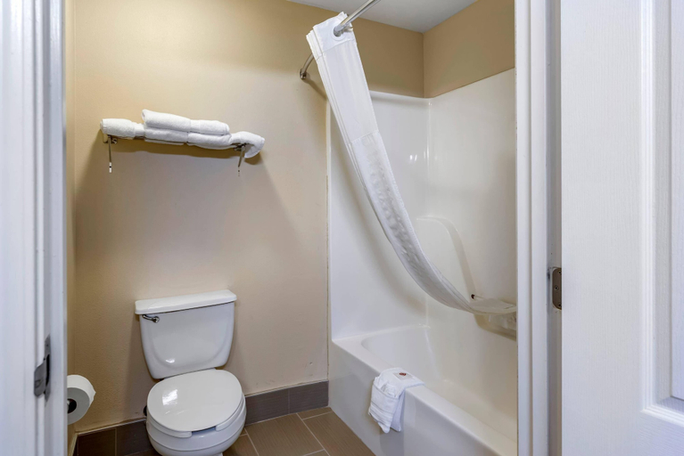 Bathroom 3, Comfort Inn & Suites Bryant - Benton, Saline