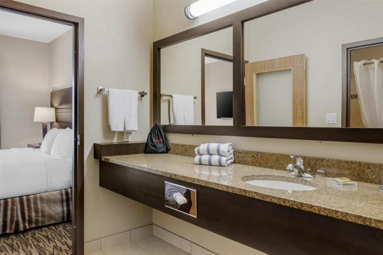 Bathroom 3, Best Western Plus Bridgewater Hotel & Convention Centre, Lunenburg