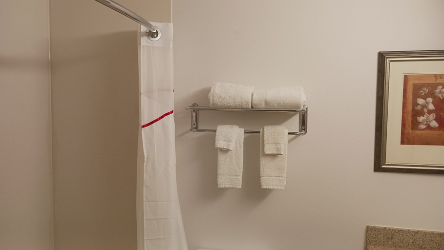Bathroom 3, Red Roof Inn & Suites Midland, Midland