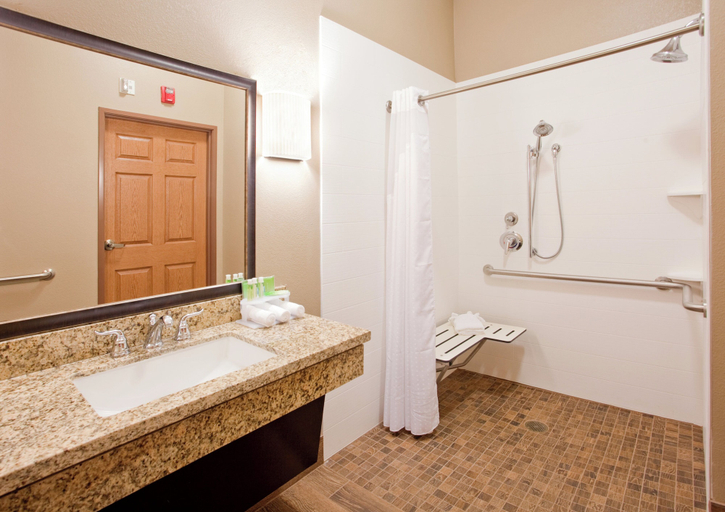 Bathroom 5, Holiday Inn Express & Suites ST. JOSEPH by IHG, Buchanan