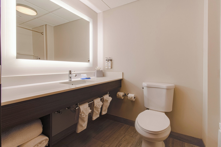 Bathroom 5, Holiday Inn Express HARTFORD - NEWINGTON by IHG, Hartford