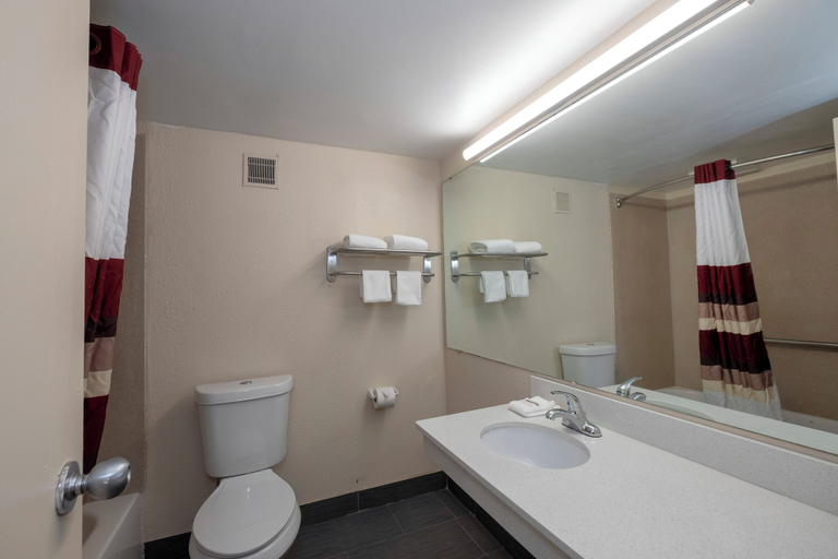 Bathroom 4, Red Roof Inn Marion, VA, Smyth