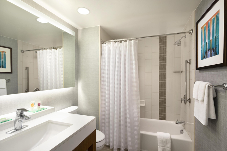 Bathroom 4, Hyatt Place Austin Downtown, Travis