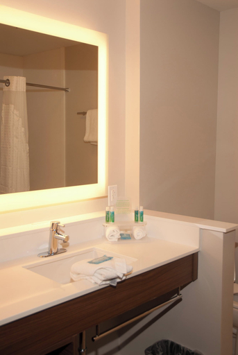 Bathroom 3, Holiday Inn Express & Suites DECATUR by IHG, Morgan