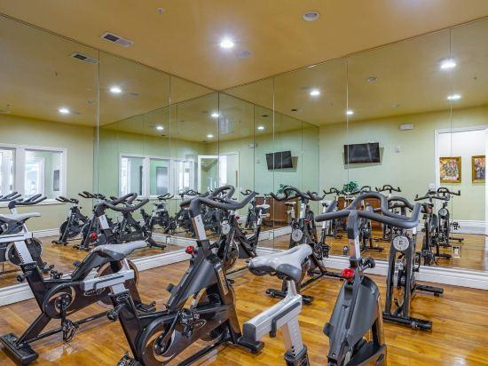4, Modern 1BR Reno Retreat · Outdoor Season & Views, Washoe