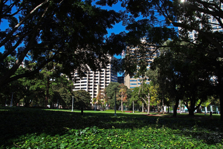 View from property 4, Poolside Studio Retreat Near Oxford Street, Sydney