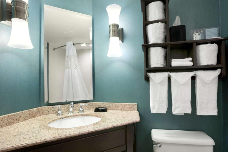Bathroom 4, Hampton Inn by Hilton Chicago-Midway Airport, Cook