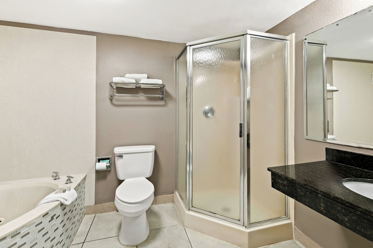 Bathroom 3, Red Roof Inn & Suites Duncan, Spartanburg