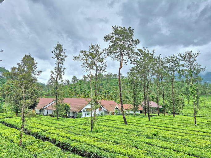 Property grounds, Estate IV By Zomestay, Wayanad