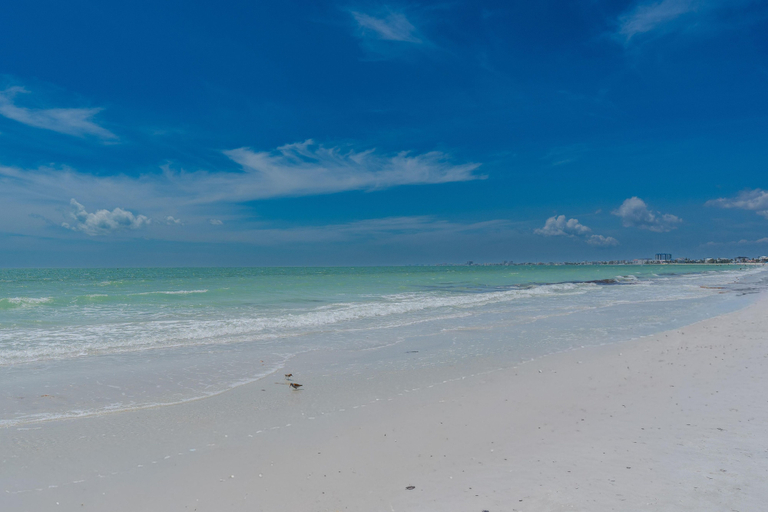 Beach 4, Salty Seahorse Unit 100, Lee