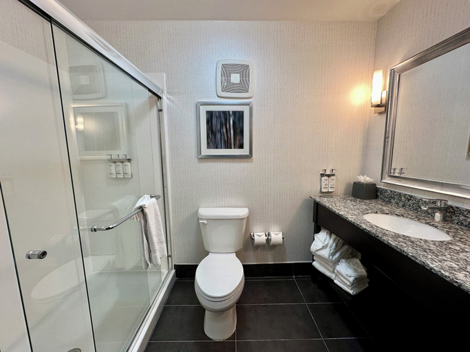 Bathroom 3, Holiday Inn Carlsbad by IHG, San Diego