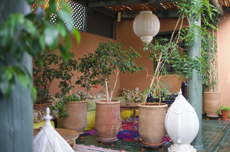 Property grounds 4, RIAD NEW MOON, Marrakech