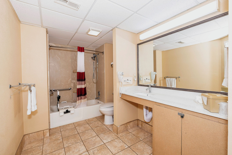 Bathroom 4, Red Roof Inn & Suites Macon, Bibb