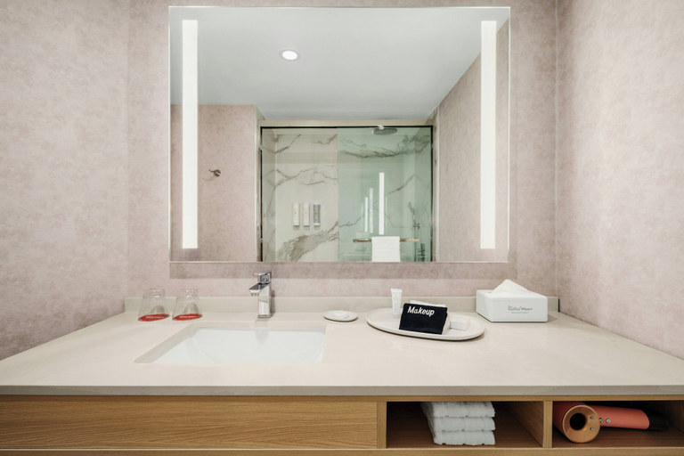 Bathroom 4, Red Roof Inn PLUS+ Vancouver Airport, Greater Vancouver