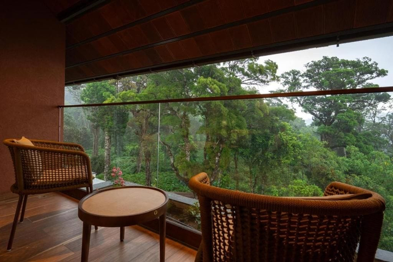 Terrace/patio, Olive Woods, Idukki