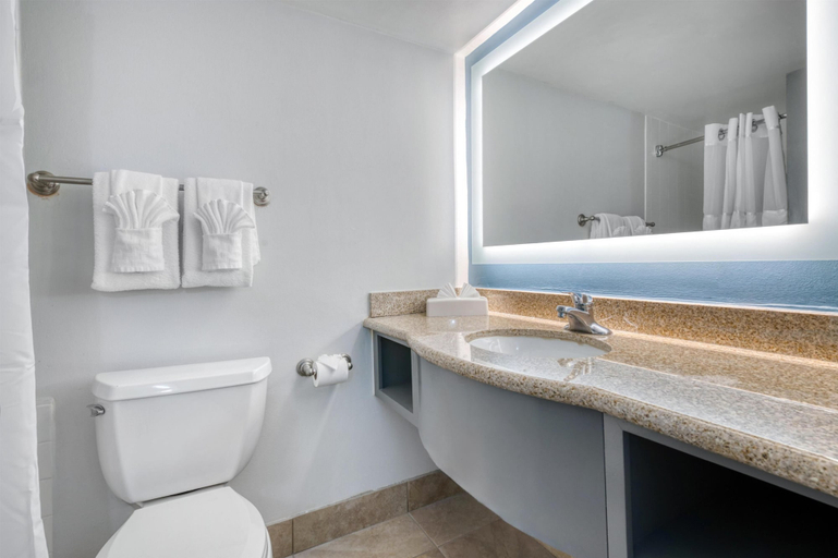 Bathroom 4, Best Western Orlando Gateway Hotel, Orange