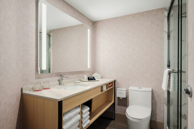 Bathroom 4, Red Roof Inn PLUS+ Vancouver Airport, Greater Vancouver