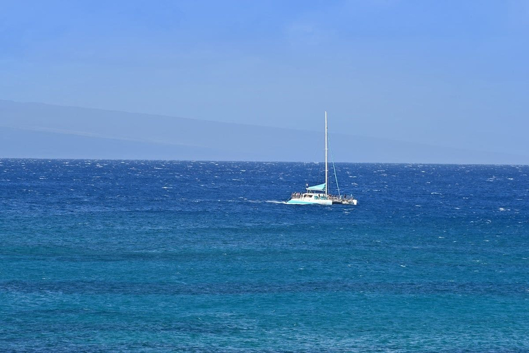 Interior 2, Remodeled 2BR Oceanfront Island Getaway - Napili Point B44, Maui