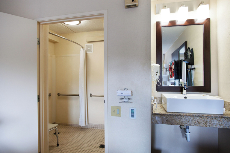 Bathroom 4, Red Roof Inn PLUS+ Nashville South - Fairgrounds, Davidson